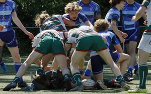 190515S_104_7D139573