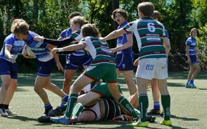 190515S_111_7DM25788