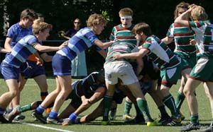 190515S_115_7DM25792