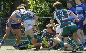 190515S_132_7D139622