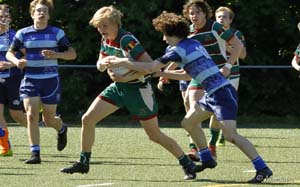 190515S_136_7D139636